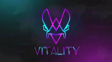 Vitality：浴火重生的夺冠之路